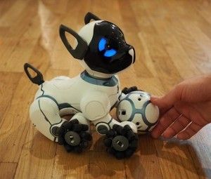 робособака