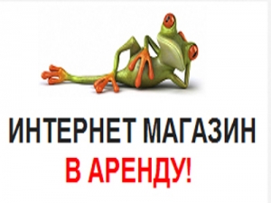 13385438976394