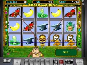 crazy-monkey-pokies77-com-auto-play-pokies-2075-005
